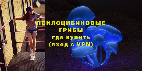 шишки Красноперекопск