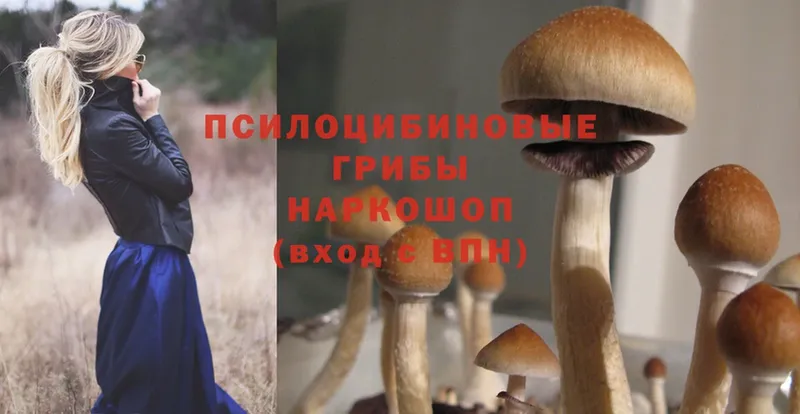 Галлюциногенные грибы Magic Shrooms  гидра сайт  Ковров 