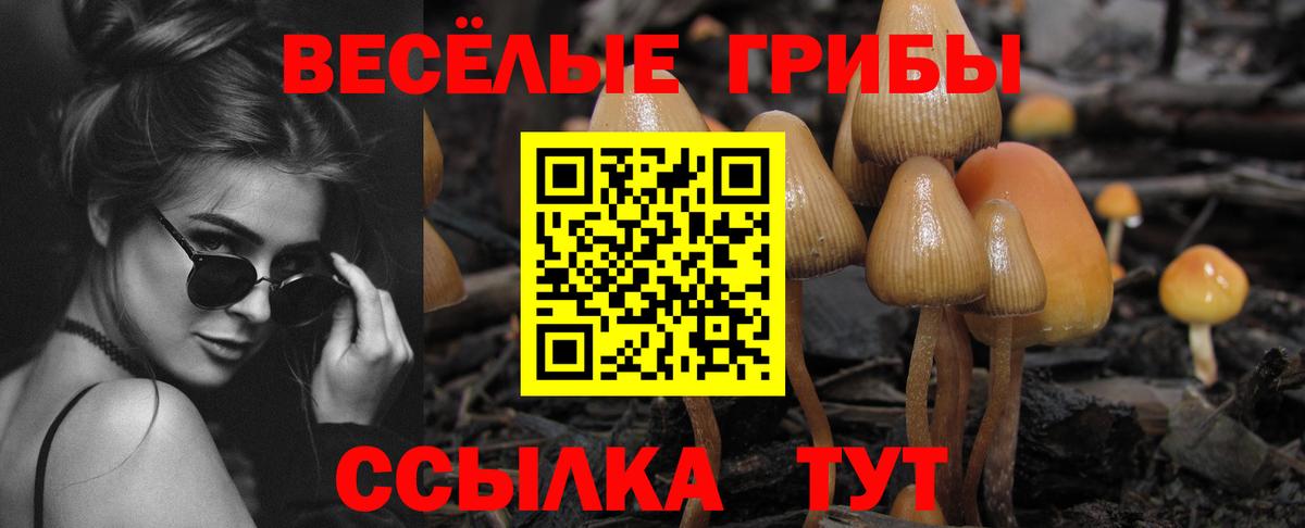 Галлюциногенные грибы Cubensis Ковров