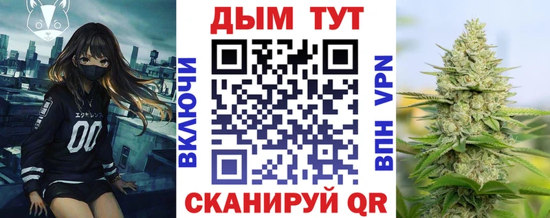 Канабис план  дарк нет формула  Ковров 